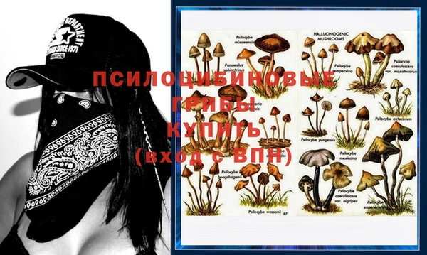 МДПВ Алексеевка