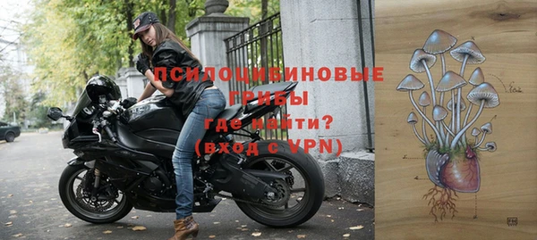 МДПВ Алексеевка