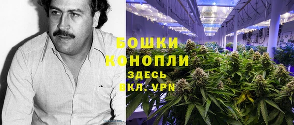 СК Алзамай