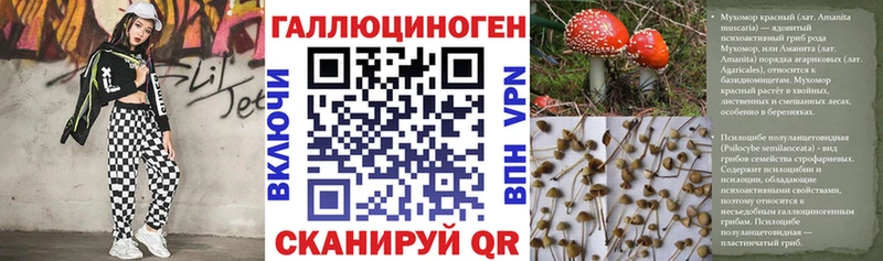 где купить   Арамиль  blacksprut ССЫЛКА  Псилоцибиновые грибы прущие грибы 
